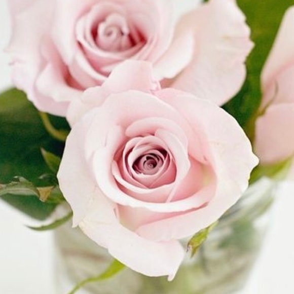 Meet your Posher, Joanna - Picture 1 of 1